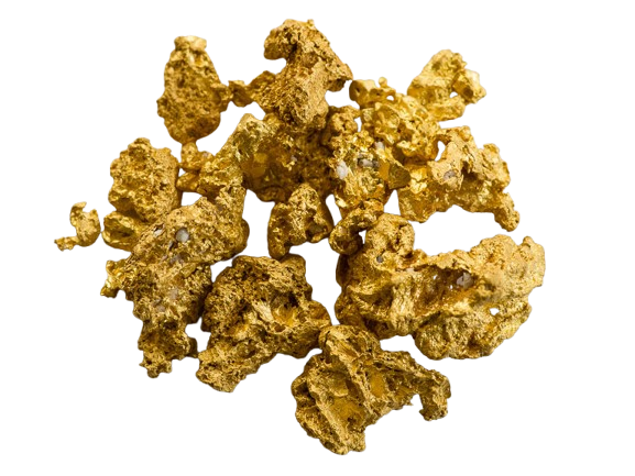 Portfolio Hero Image